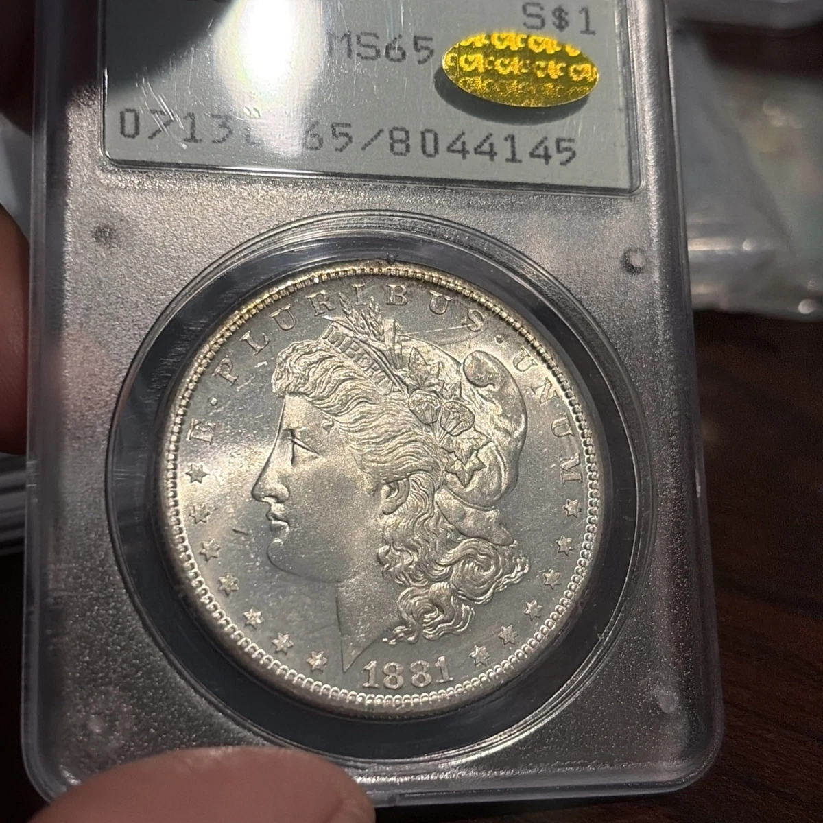 PCGS & CAC Certified MS 64 Graded 1881 Year Morgan US Dollars