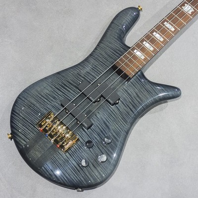 Spector EURO 4 DW Black Stain Gloss  285177