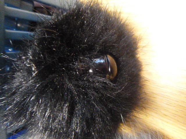 Bild 2 von 5