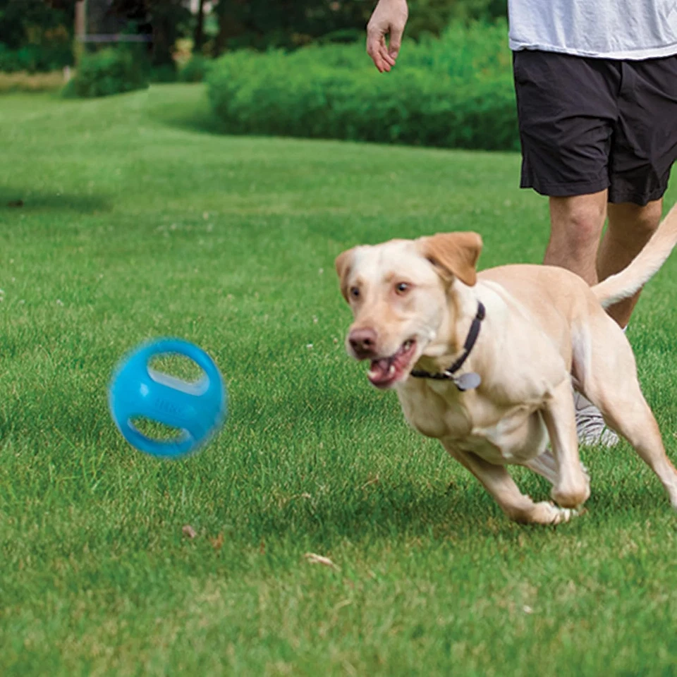Héroe - Bola de hervidor chirriante - Juguetes para perros - Juguetes para cachorros - Juguetes para mascotas - Mediano, 5 pulgadas Foto 2 de 4