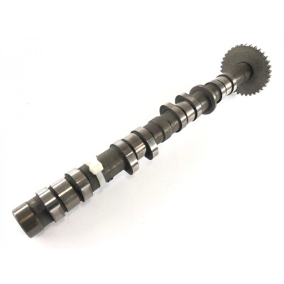 Kawasaki ZXR 400 ZX400L [1993] - Camshaft exhaust camshaft | eBay