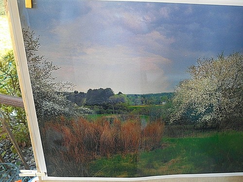 HERMOSA IMAGEN FOTO PAISAJE EN KODAK PROFESIONAL DIGITAL 20" X 27" - Imagen 4 de 6