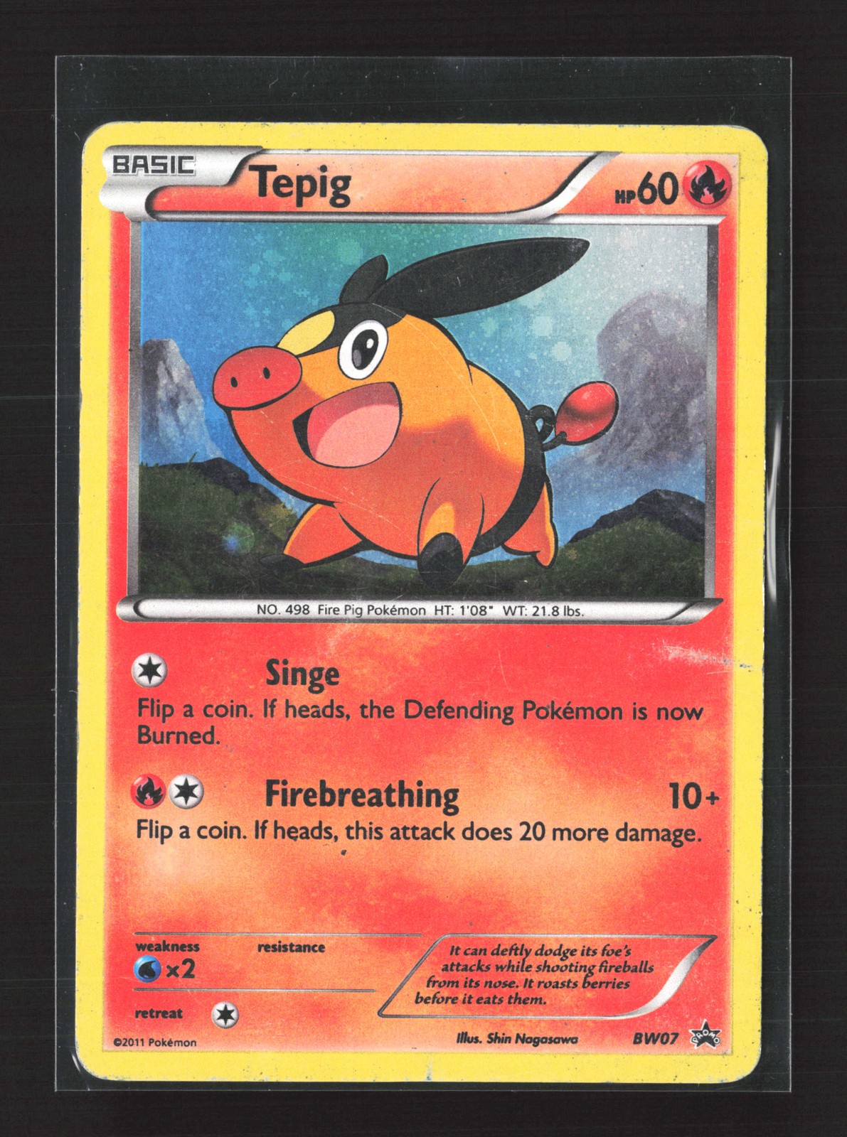 Pokemon Black and White Promos #BW07 Promo,Holo Tepig