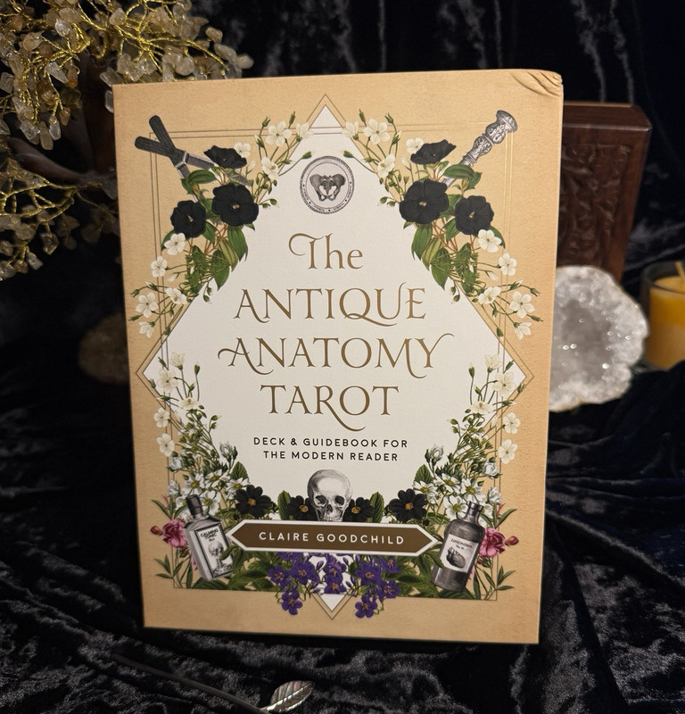 The Antique Anatomy Tarot Deck & Guidebook Complete Set by Claire Goodchild