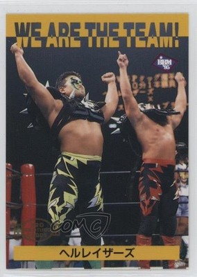 1995 BBM Pro Wrestling We are the Team 1997 2nd Printing Hellraisers #187 0w6