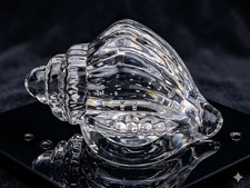 Vintage Conch Sea Shell Clear Glass Art Paperweight 5"
