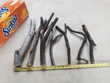 7 natural manzanita branches bird perch craft 11"-16" SB1 