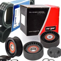 Meyle 6PK2498 Keilrippenriemen + Rolle FüR Audi A4 A5 A6 Q5 VW Phaeton 3.0