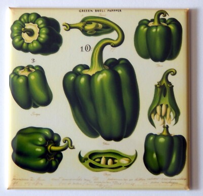 Green Bell Peppers FRIDGE MAGNET ''style C''