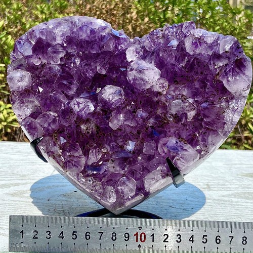 7.4LB Natural Amethyst Crystal Cluster - Rare Purple Gemstone Collectible - 第 1/16 張圖片