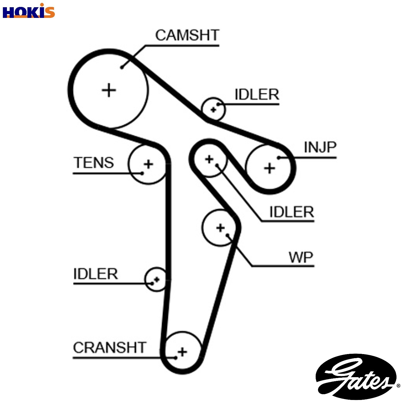 GATES TIMING BELT - 5648XS - Image 11