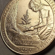  on The Hot Collector