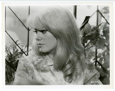 Repulsion 1965 UK 8 x 10 Press Photo Evil Catherine Deneuve By Window Looks Away