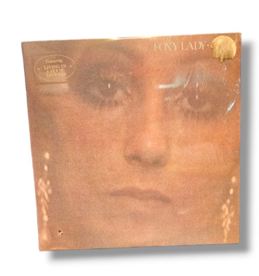 Cher Foxy Lady LP Vinyl 1972 Living In A House Divided Don't Hide Your Love
