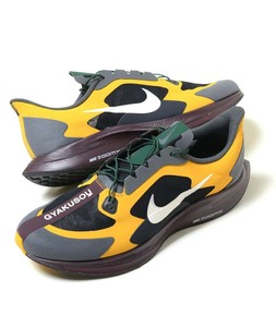 gyakusou zoom pegasus 35