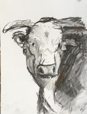 PDQ Artist Original Farm Bull Impressionist Realistic Art Charcoal Drawing 12x9