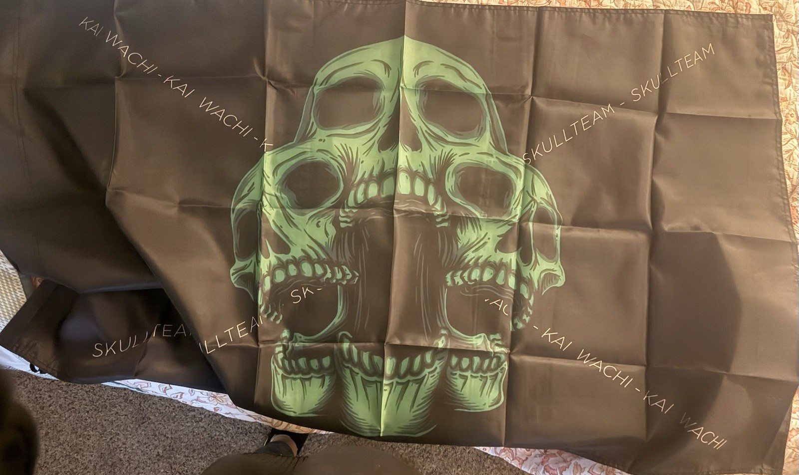 Skullteam Banner