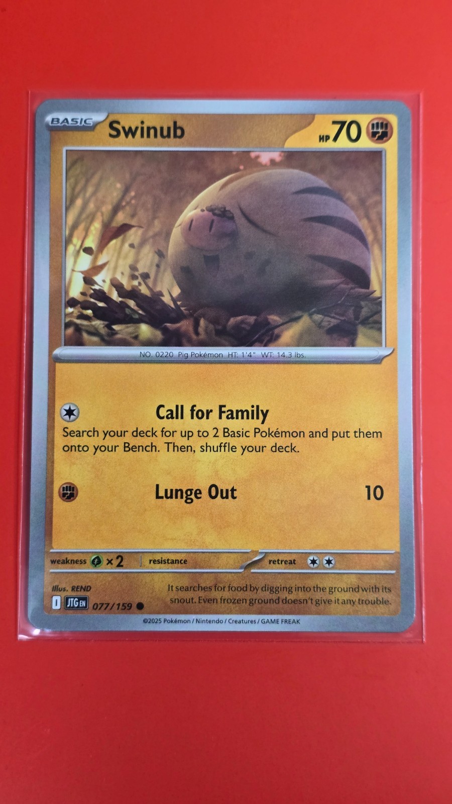 Pokémon TCG Pokémon Swinub (B08)