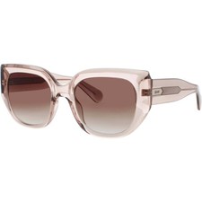 Quay Women's Sunglasses Crystal Blush/Gold Acetate Cat Eye BUSY BUSY DOE/BRN
