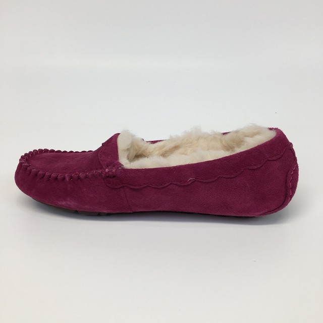 ugg scallop