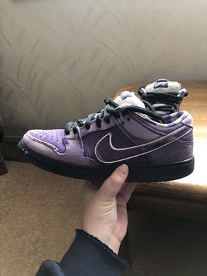 Nike Sb Purple Lobster Skated Size 8