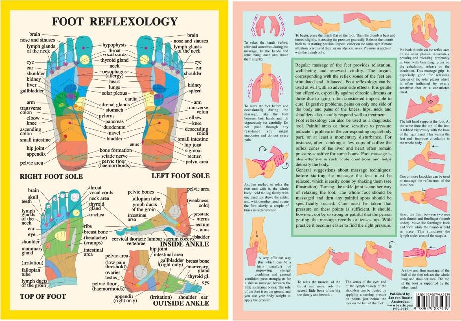 Foot Reflexology -- A4 by Jan van Baarle POSTER / WALLCHART - Image 4