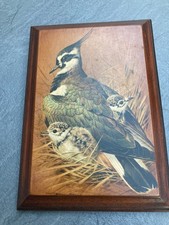 Vintage Basil Ede Print On Wooden Plaque Of Northern Lapwing With Two Chicks