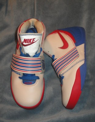 nike flight dunk hoop