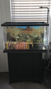 29 gallon reptile tank