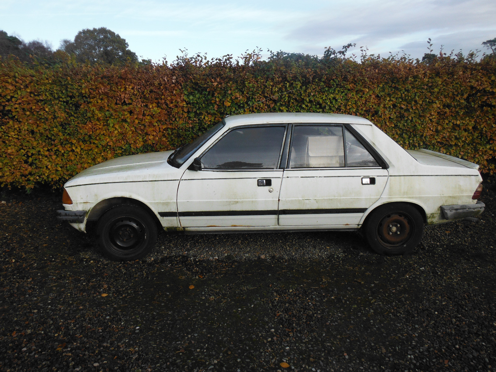 s-l1600.jpg