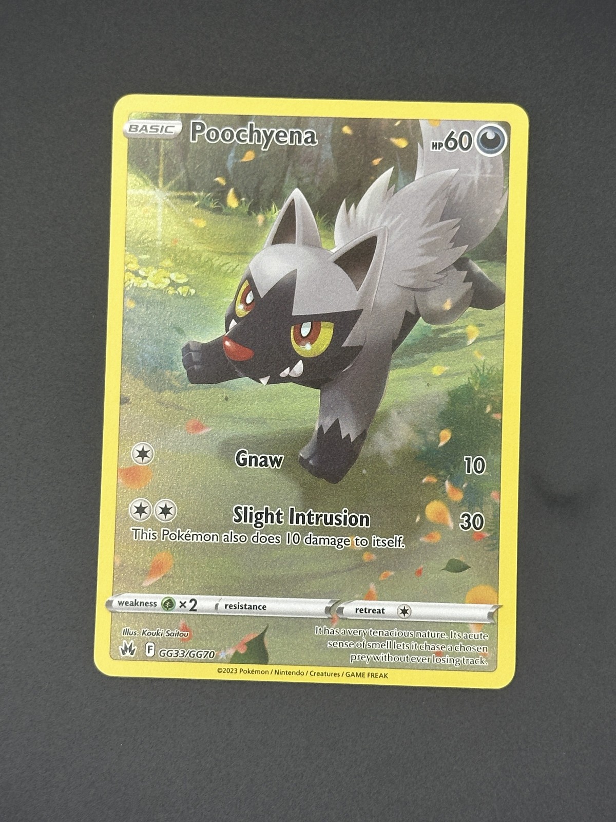 Poochyena GG33/GG70 2023 Pokemon SWSH: Crown Zenith: Galarian Gallery Holo NM