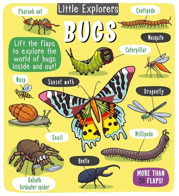 Little Explorers: Bugs | Little Bee Books | Englisch | Buch | Gebunden | 2019
