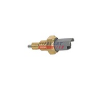 Fast Schalter, RüCkfahrleuchte FT81085 FüR Peugeot