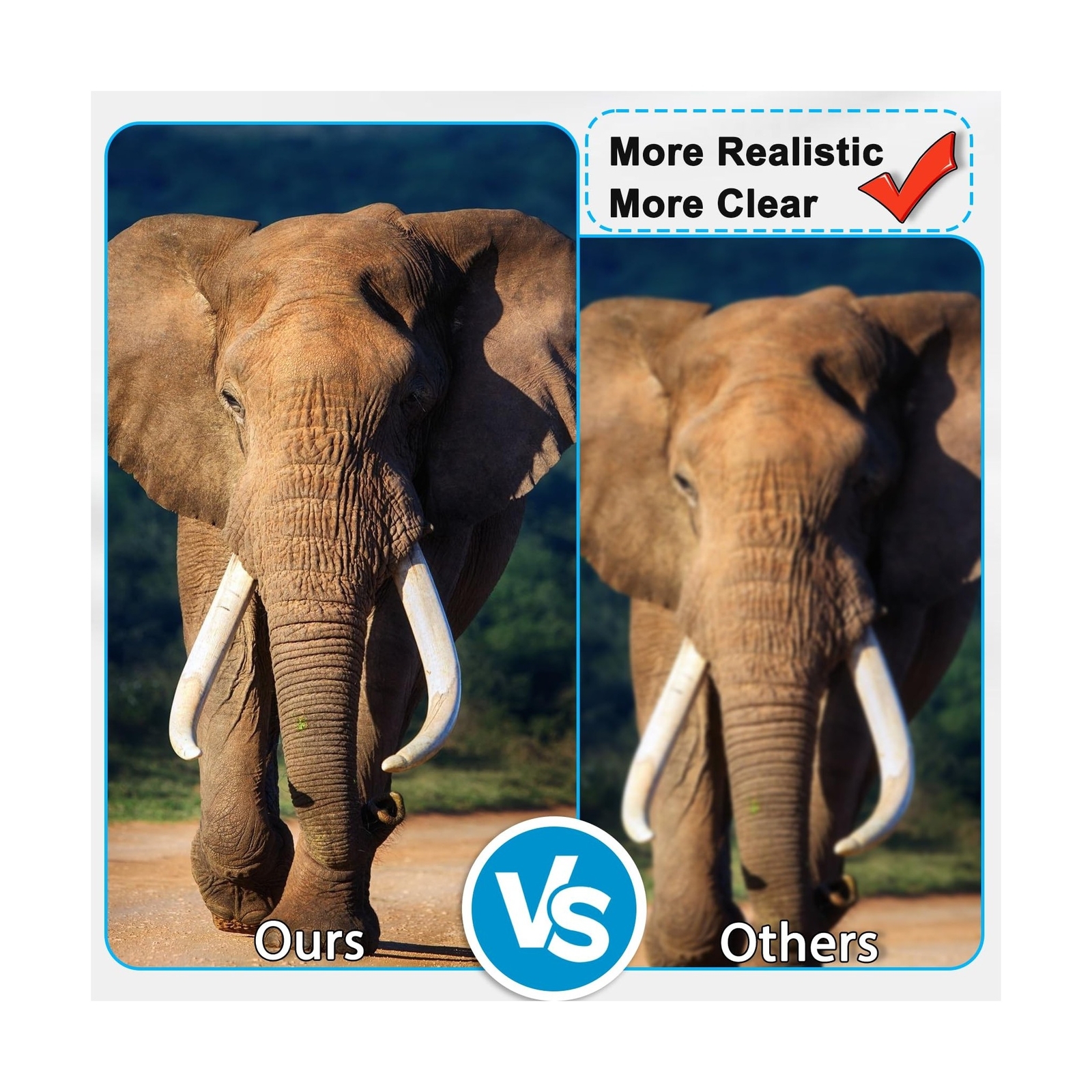 CF081-67904 (RM2-7448) Transfer Kit for Color Laser Printer M551 Printer, Inc...