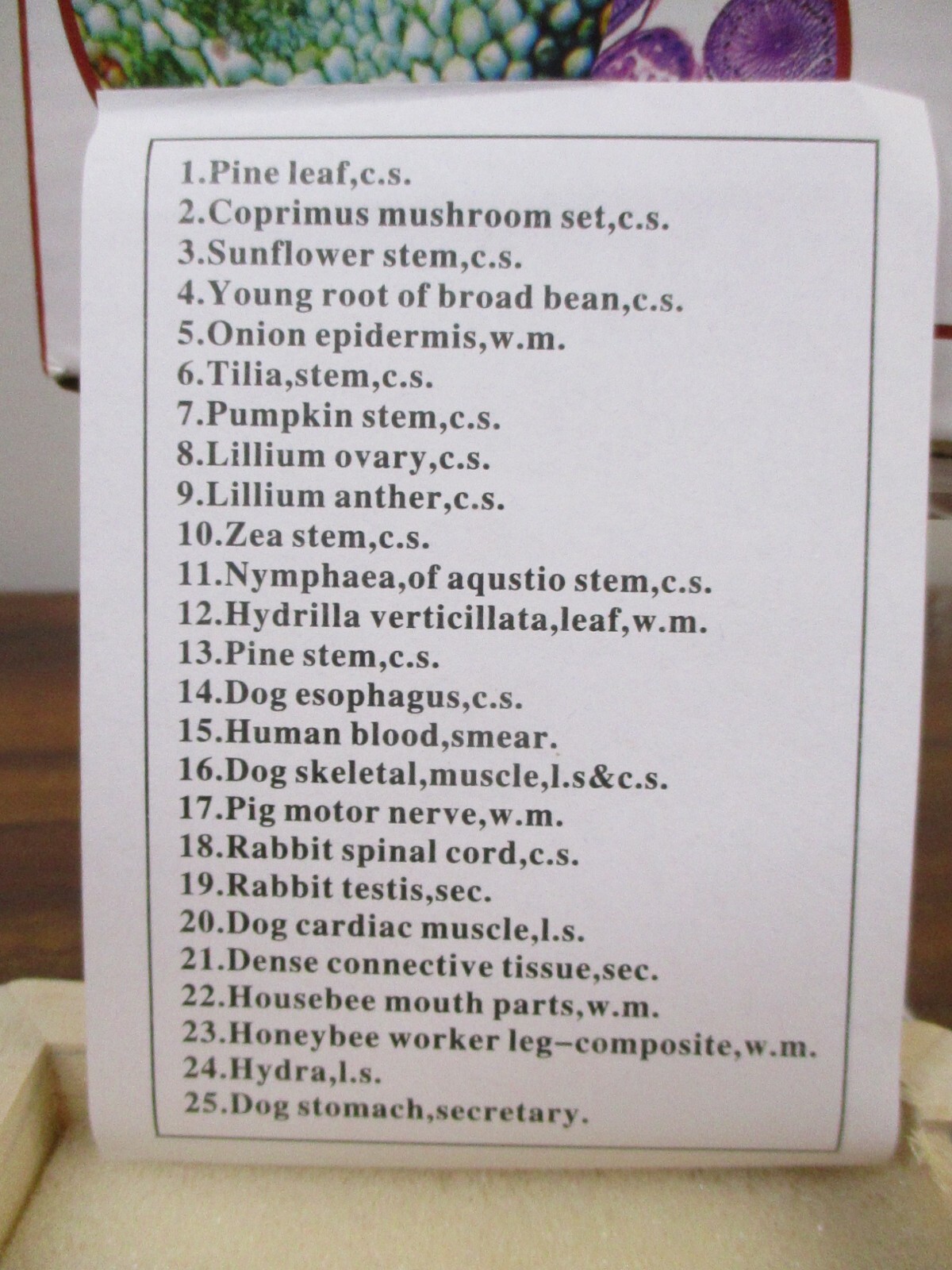 AmScope 25 Prepared Microscope Slides Glass with Wooden Box PS25W NEW