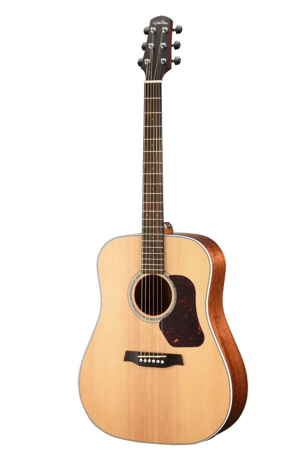 Walden D740E с дорожной сумкой Natura из массива Ситки/красного дерева Dreadnought