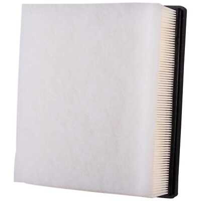 Air Filter Premium Guard PA99002