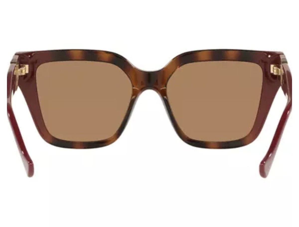 Gucci GG 1023S-009 Havana Burgundy/Brown Cat-Eye Women 
