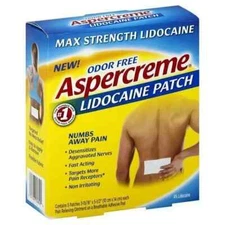 Odor-Free Maximum Strength Fast Acting   PAIN  Formula  Patch 5 Ct
