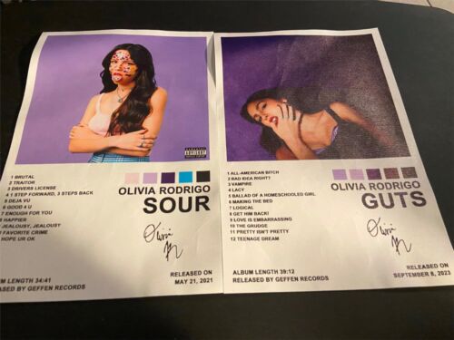 Olivia Rodrigo Sour & Guts Album Canvas Poster Print 12" x 8" Lot of 2 Music