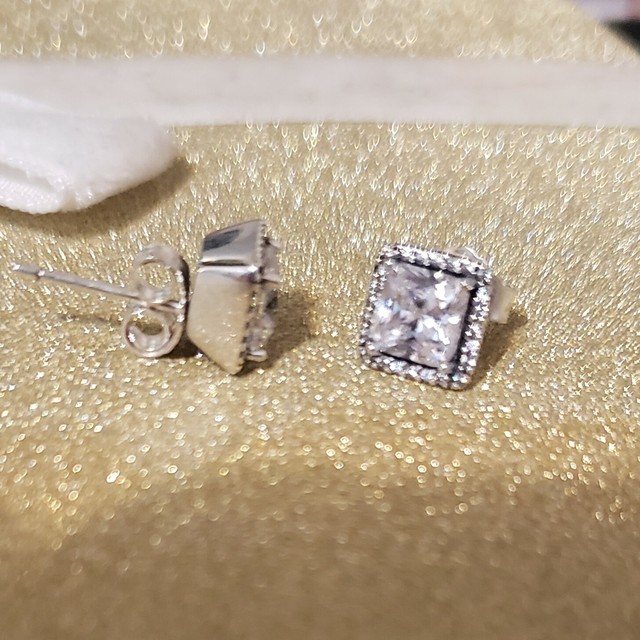 encased elegance silver earring