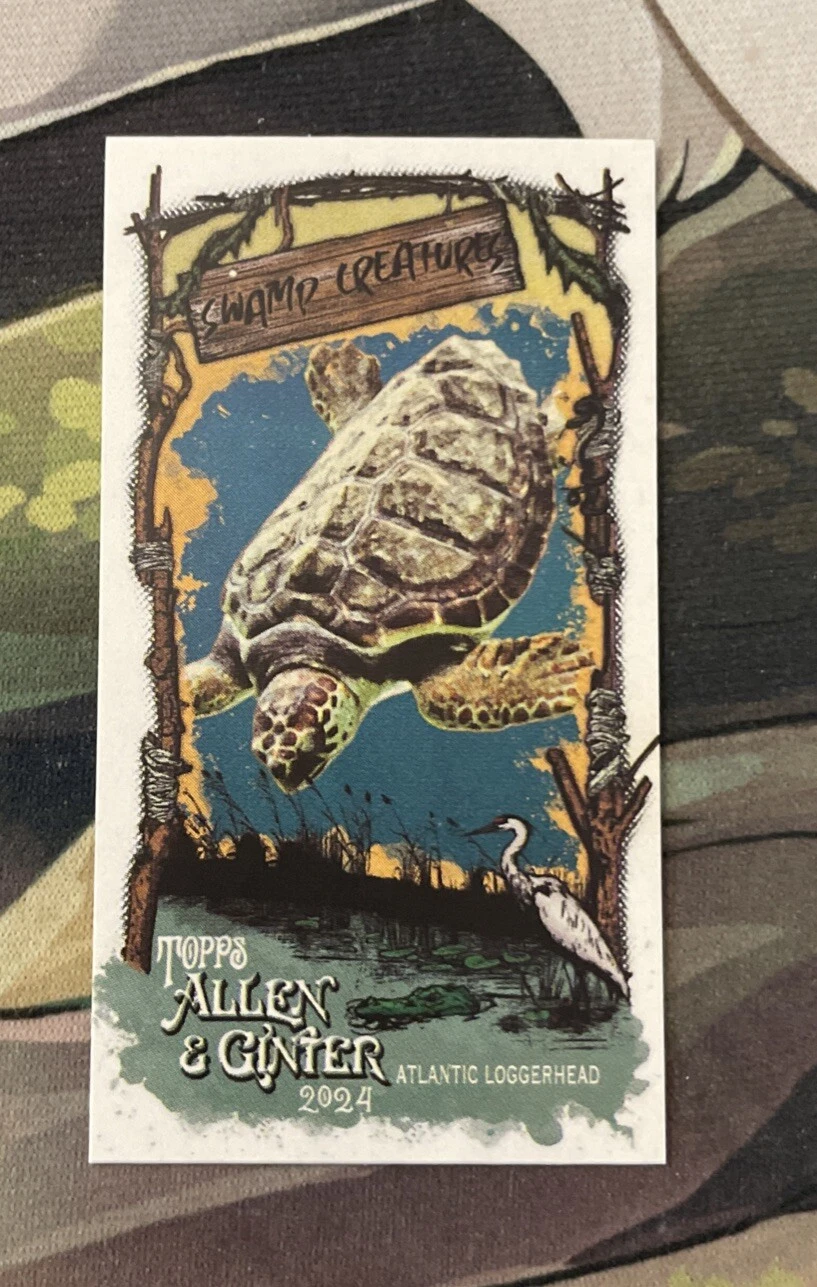 Tarpon trading card