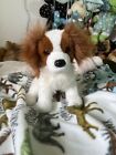 Kingsley Cavalier King Charles Spaniel Douglas dog