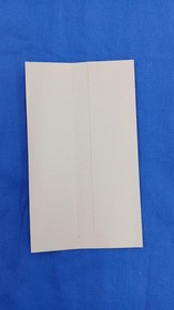 Sega Saturn Software Model Courier Crisis Bmg FIT55