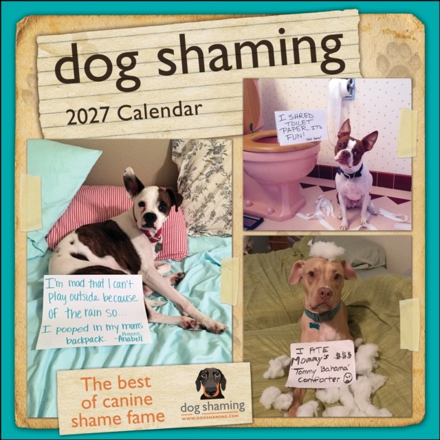 Dog Shaming 2027 Wall Calendar by dogshaming.com (Calendar) - Image 2