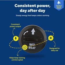 PetSafe Replacement Dog Collar Lithium Batteries 2-pack, RFA-67d-11, Waterproof