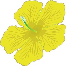 4.5in x 4.5in Yellow Hibiscus Vinyl Sticker