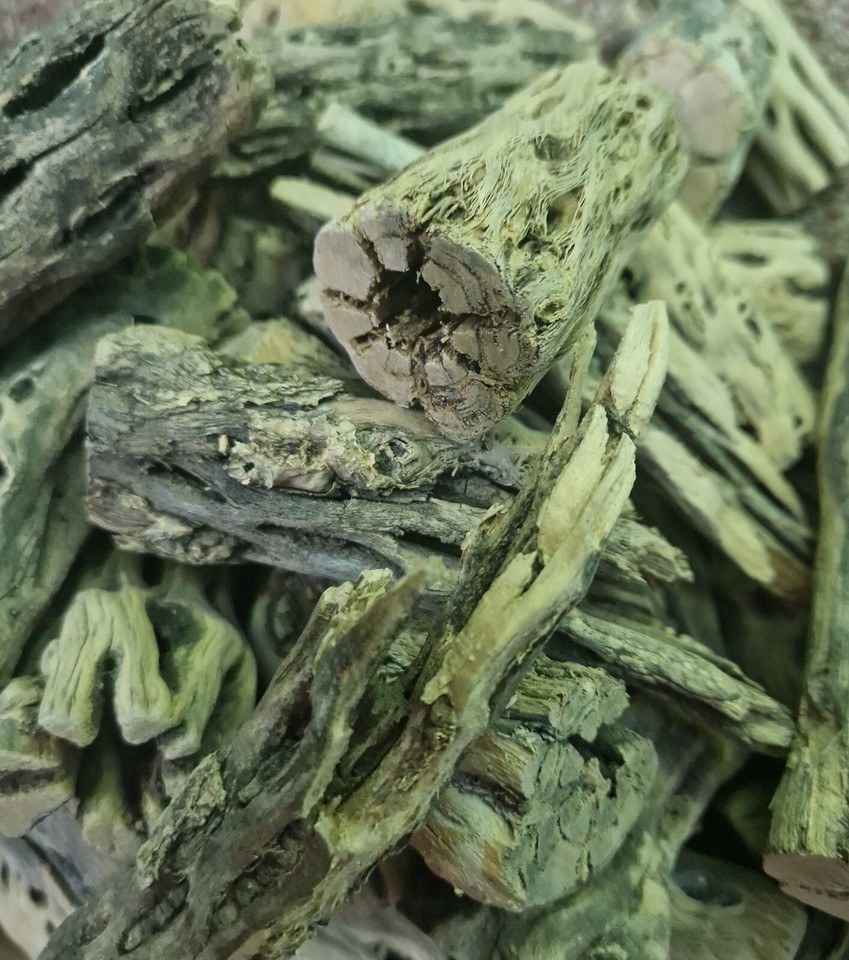 100G Cholla Cactus Wood Mini Off cut Aquariums Shrimp Snails Fry