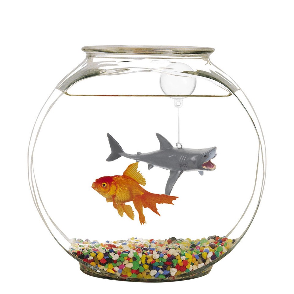 2 Sets Aquarium Ornament Fish Tank Decorations Fish Tank Cute Floating