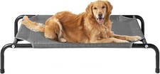 Elevated XL Dog Cot Bed, Raised Outdoor Dog Hammock for Extra Large XLarge Dogs